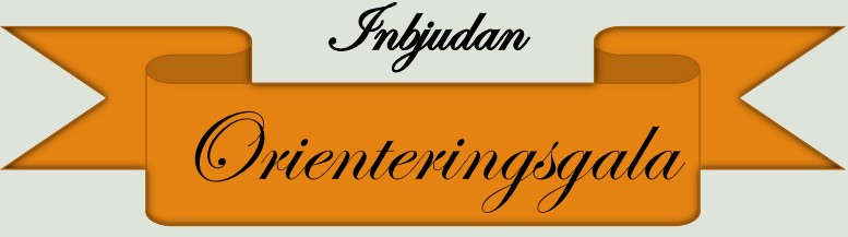 image: OL-gala 7 mars